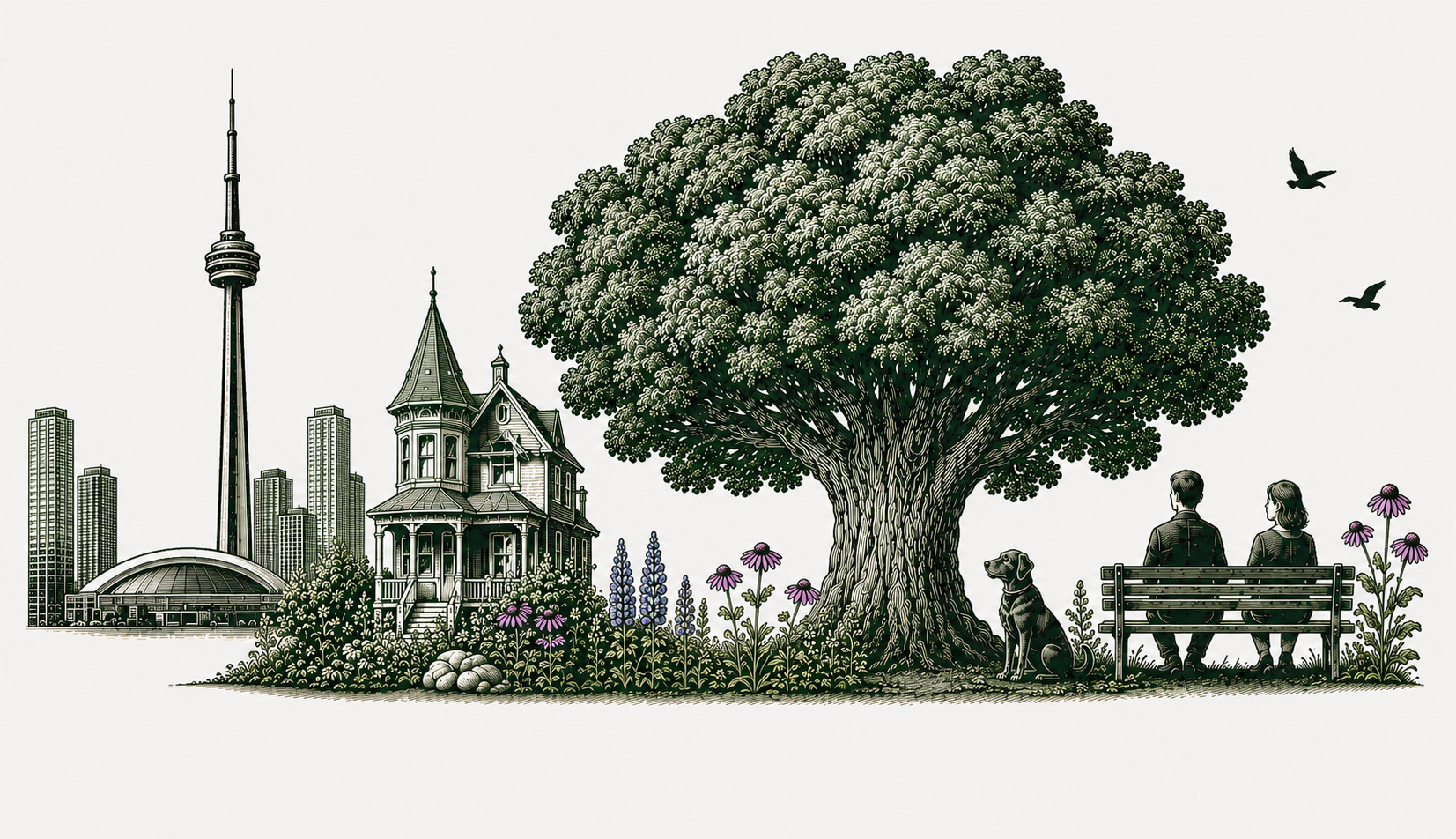 Illustration d'un paysage torontois avec la Tour CN, une maison victorienne, un grand chêne et la nature urbaine — visites guidées Trappeur Urbain écologie et santé urbaine